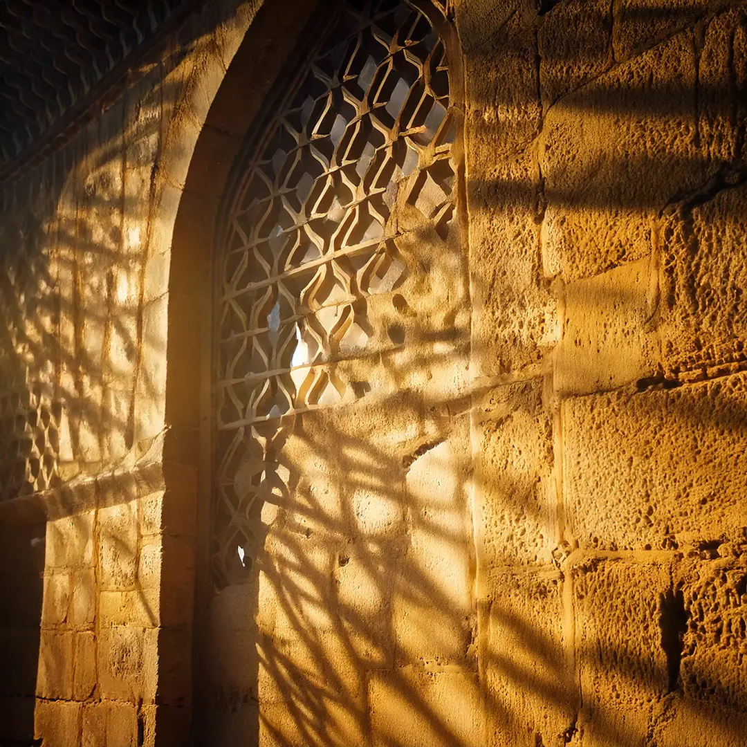 الخالِقُ جلَّ جلاله - عظمةُ التقديرِ وإعجازُ التصوير