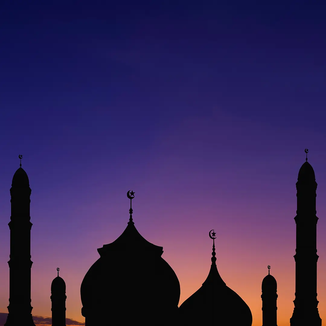 الشِّدَّةُ (بمعنى القُوَّة)